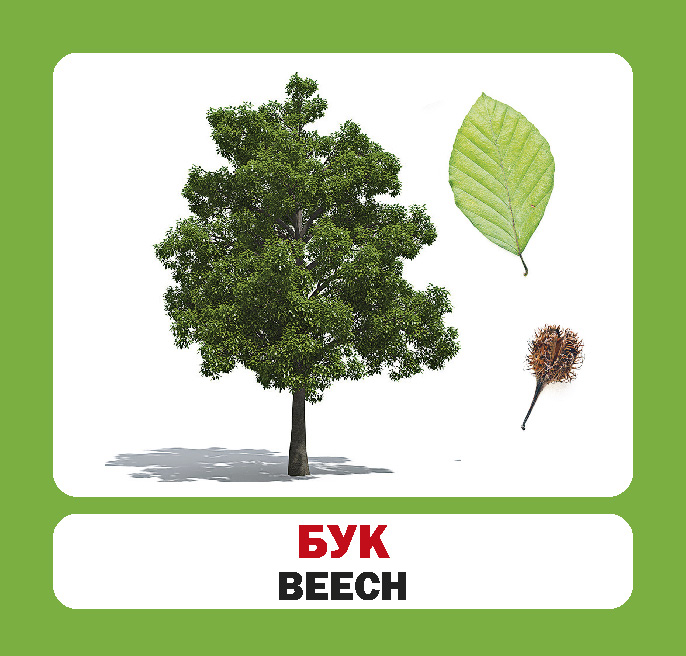 Animals by Novitskaya Irina - Ourboox.com