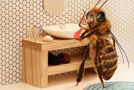 Пчелы by PageloiShit - Ourboox.com