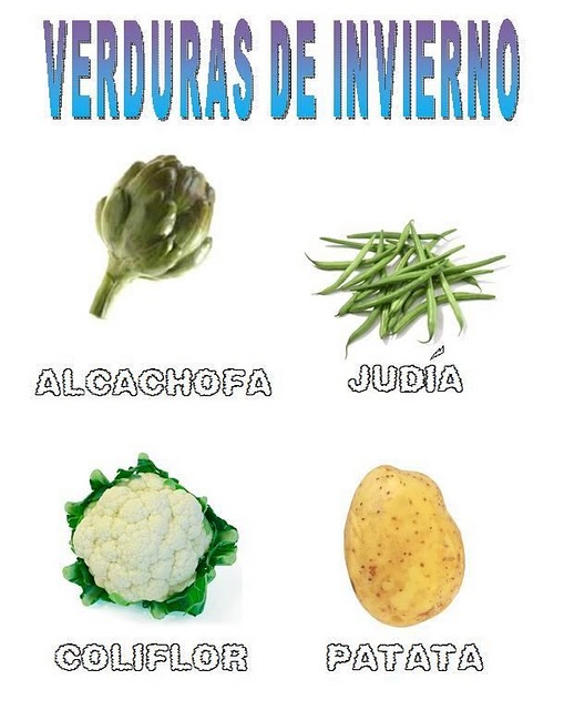 El libro del invierno by aurora martinez - Ourboox.com