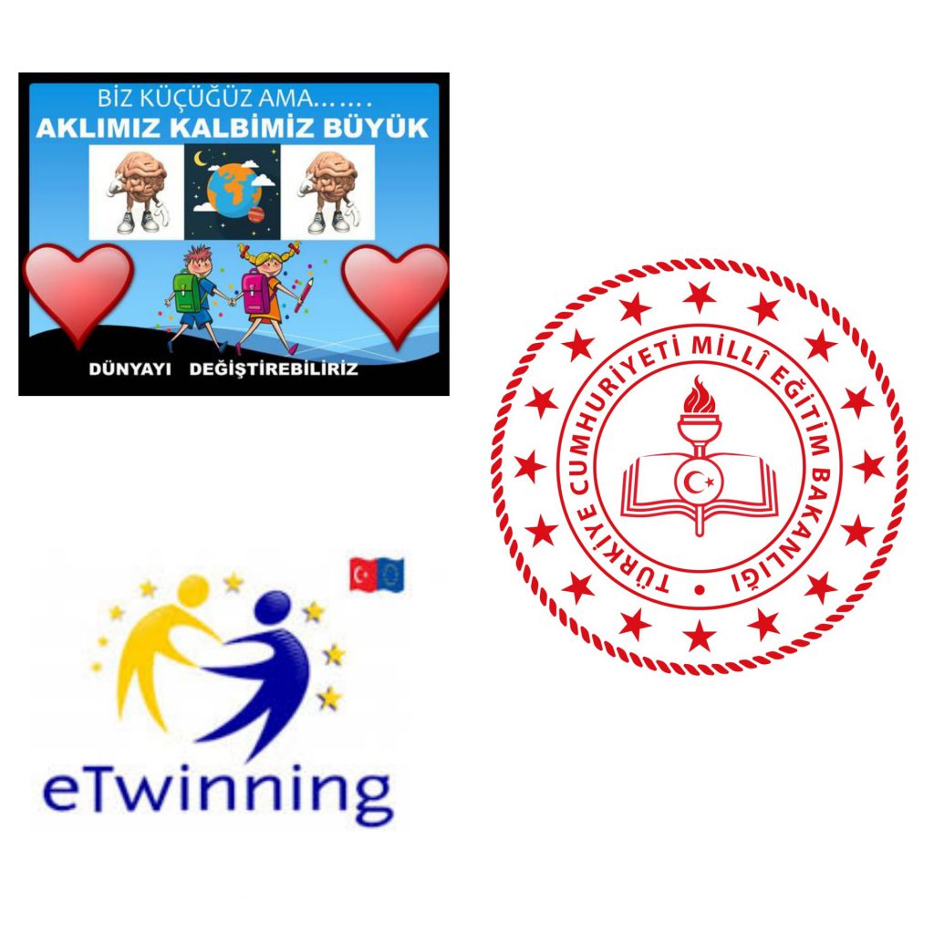 2020 Proje Takvimi by Meral Koçakoğlu - Ourboox.com