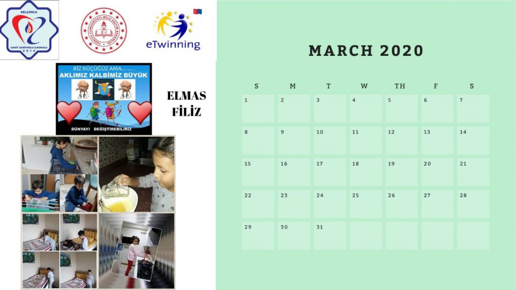 2020 Proje Takvimi by Meral Koçakoğlu - Ourboox.com