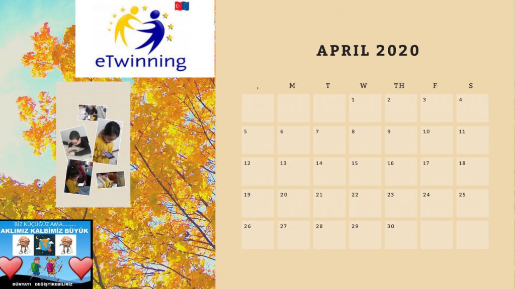 2020 Proje Takvimi by Meral Koçakoğlu - Ourboox.com