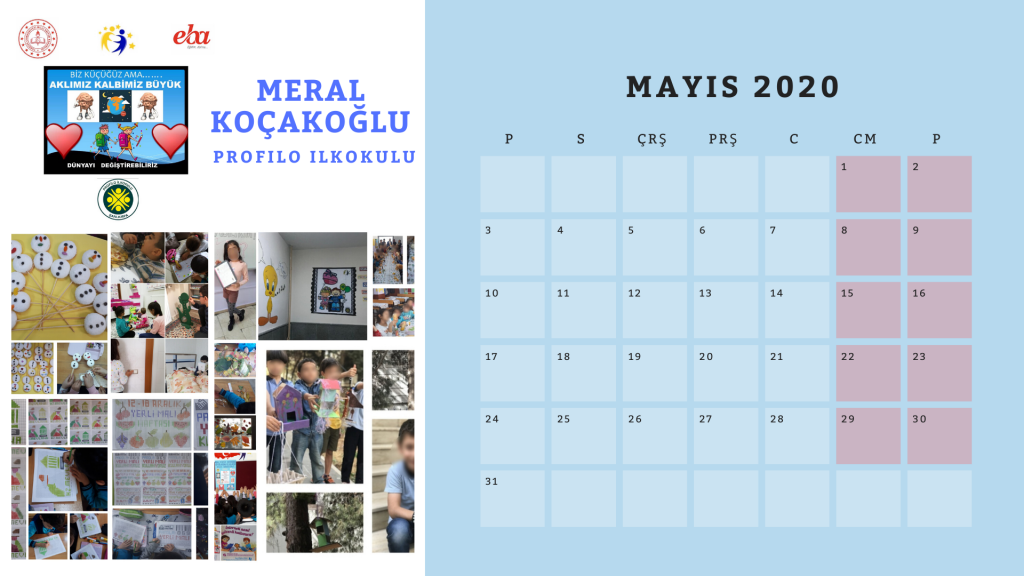 2020 Proje Takvimi by Meral Koçakoğlu - Ourboox.com
