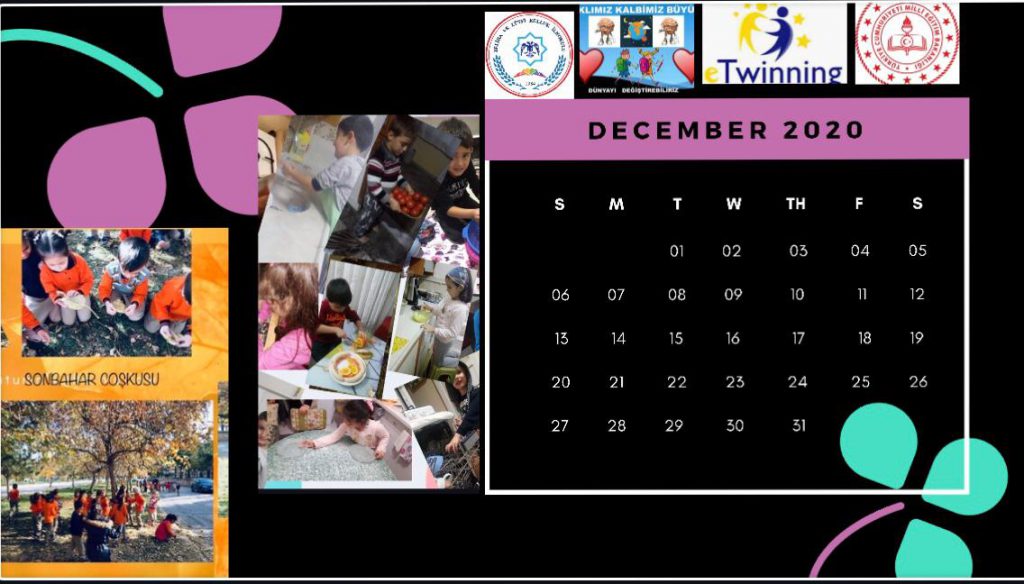 2020 Proje Takvimi by Meral Koçakoğlu - Ourboox.com