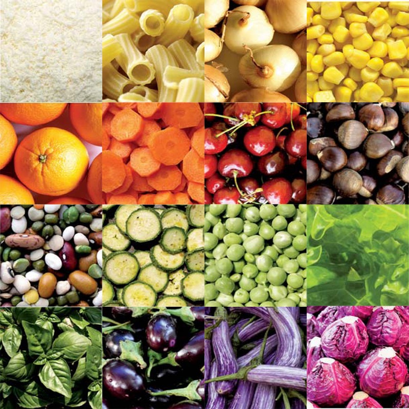 La dieta dello sportivo by Silvia Paparone - Ourboox.com