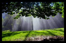 שבעת ימי הבריאה – עלמה חיים ושירה זוהר by reut - Illustrated by שירה זוהר ועלמה חיים - Ourboox.com