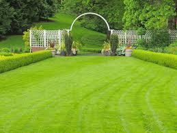 ГАЗОН by cthutq - Ourboox.com