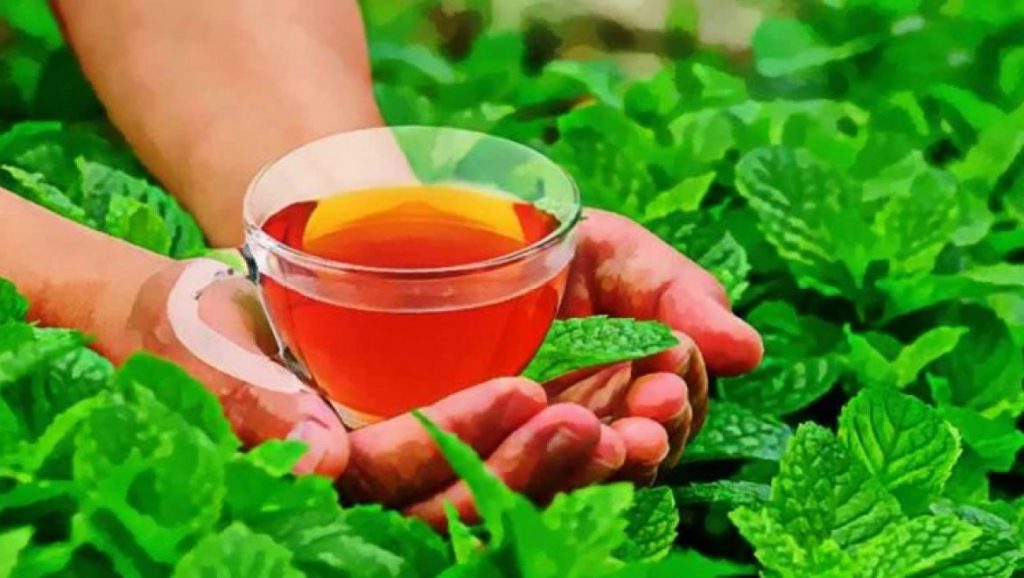 العشبة الطبية – النعناع by ibrahem shame - Ourboox.com