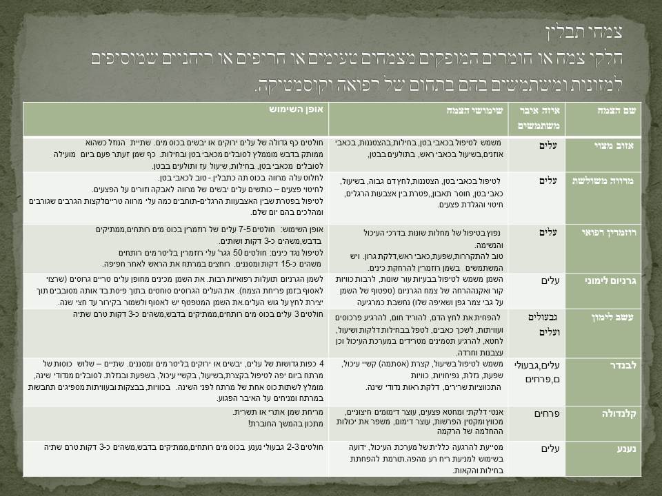 ארון התרופות הביתי by dorit golan - Ourboox.com