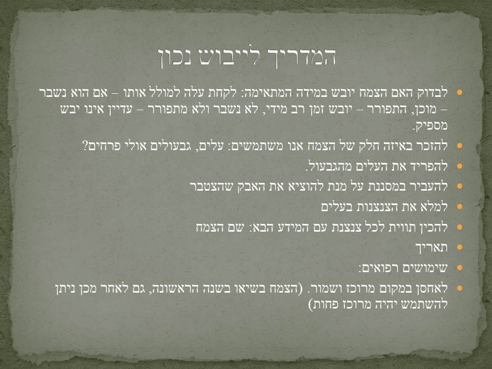 ארון התרופות הביתי by dorit golan - Ourboox.com