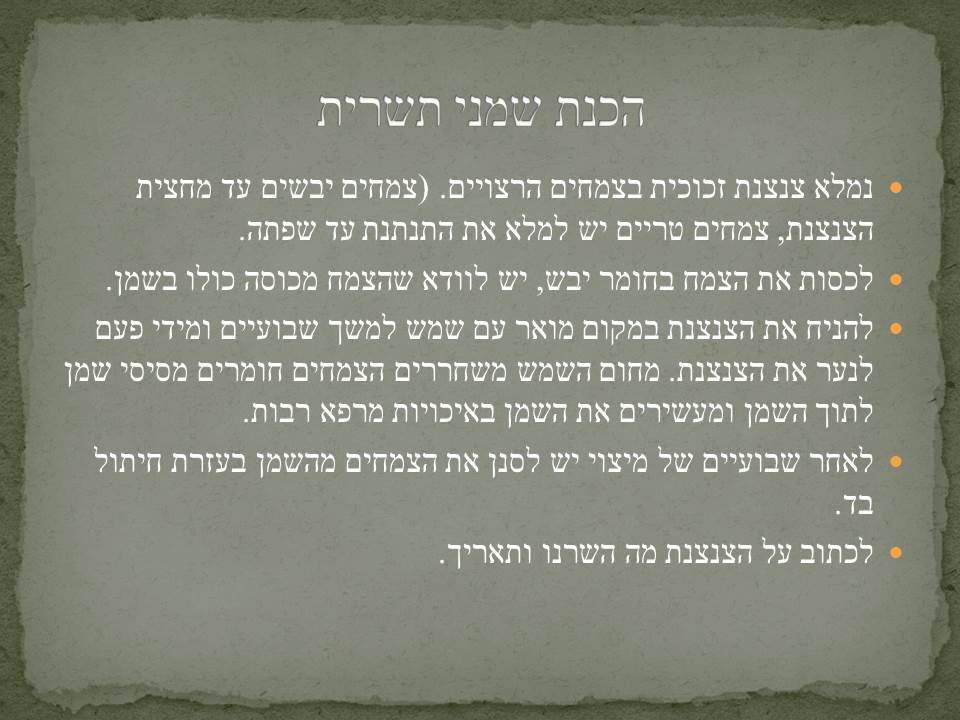 ארון התרופות הביתי by dorit golan - Ourboox.com