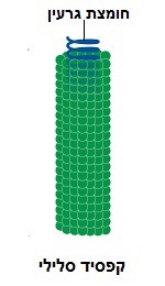 الفيروسات by ibrahimish - Illustrated by ibrahim - Ourboox.com