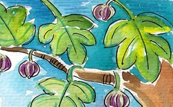 אדרינוס והנוטע הזקן by tal ezyon - Illustrated by סיגל היקסון - Ourboox.com