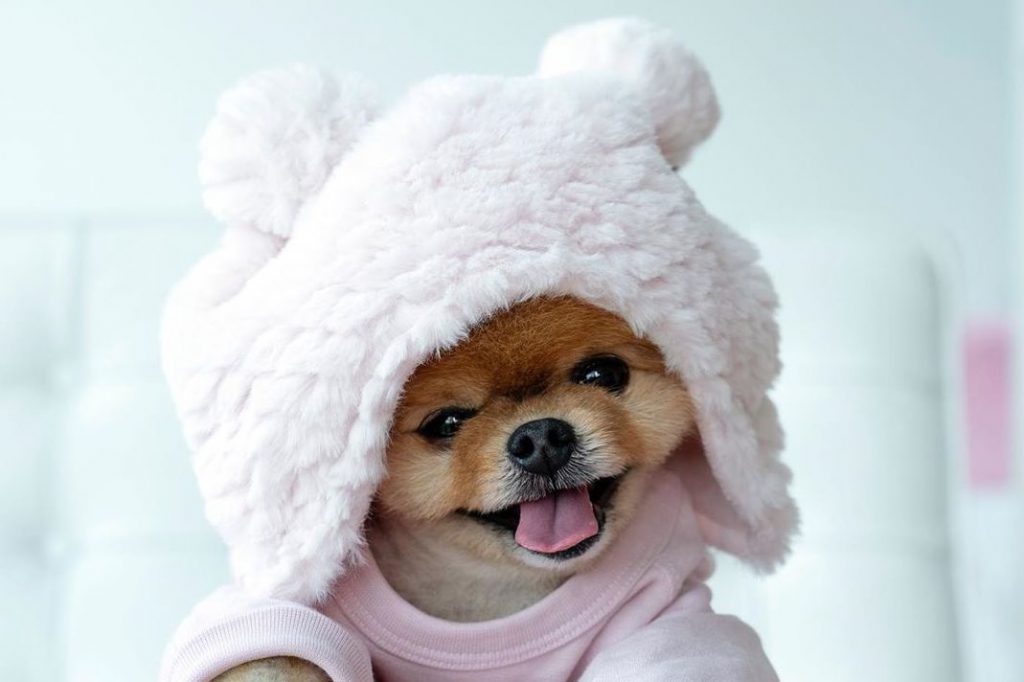 PETS by Mark labaton - Ourboox.com