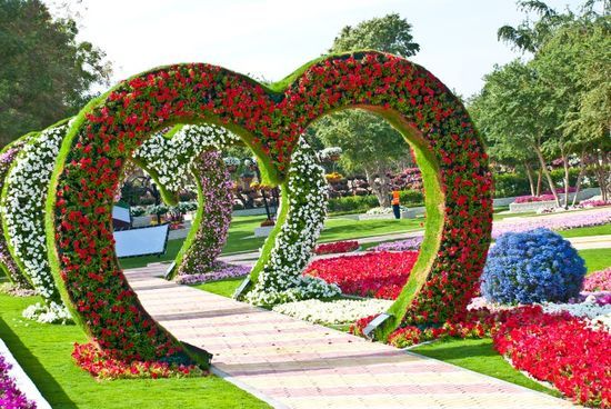 The Garden by Yareen Abo Hamoud - Ourboox.com