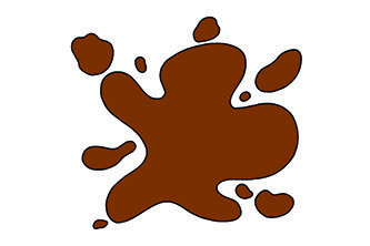 הצבע של הכלב שלי