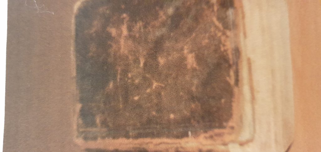 עבודת שורשים by אמיר - Ourboox.com