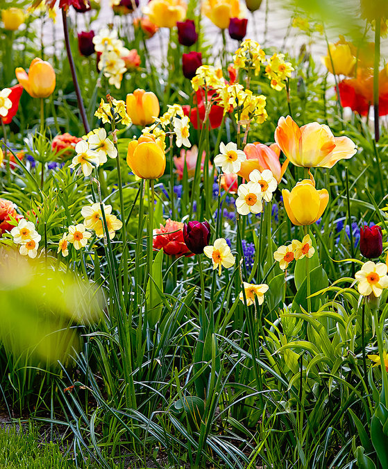 noi schiappe prova by migi - Ourboox.com