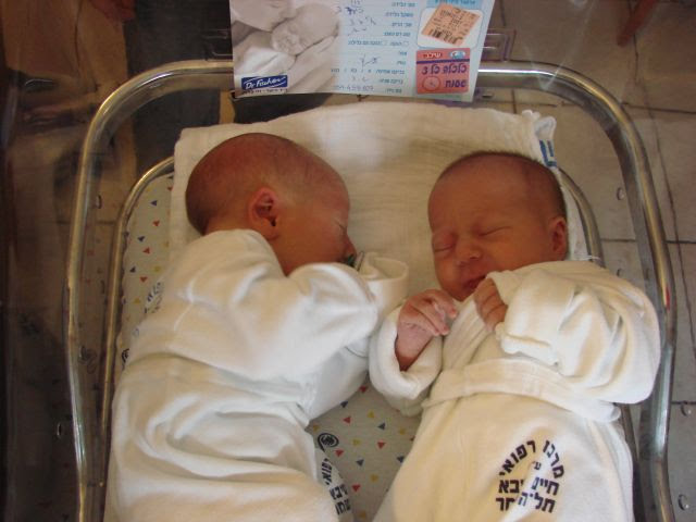 עבודת שורשים אלון כהן by Alon Cohen - Illustrated by אלון כהן - Ourboox.com