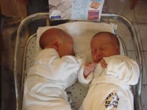 עבודת שורשים הילי כהן by Hili Cohen - Ourboox.com