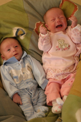 עבודת שורשים הילי כהן by Hili Cohen - Ourboox.com