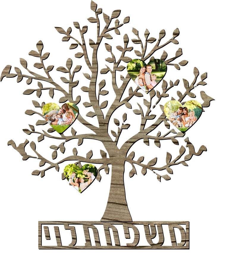 עבודת שורשים -אביב לוי