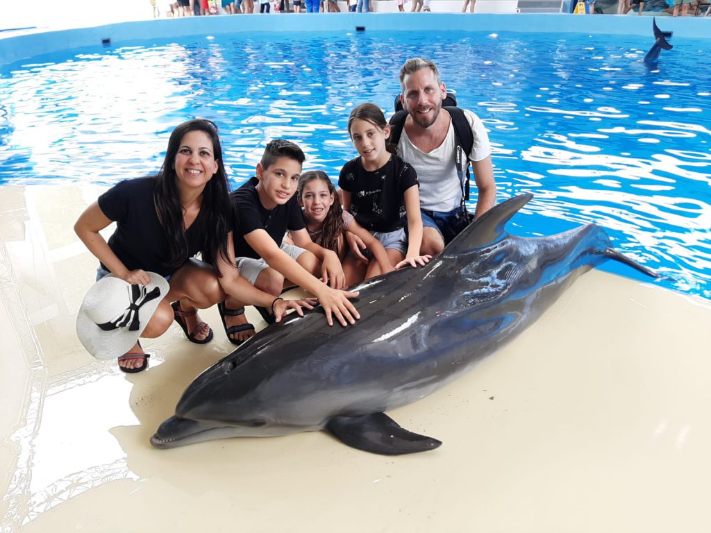 עבודת שורשים-איתי מנדל by Itay Mendel - Ourboox.com