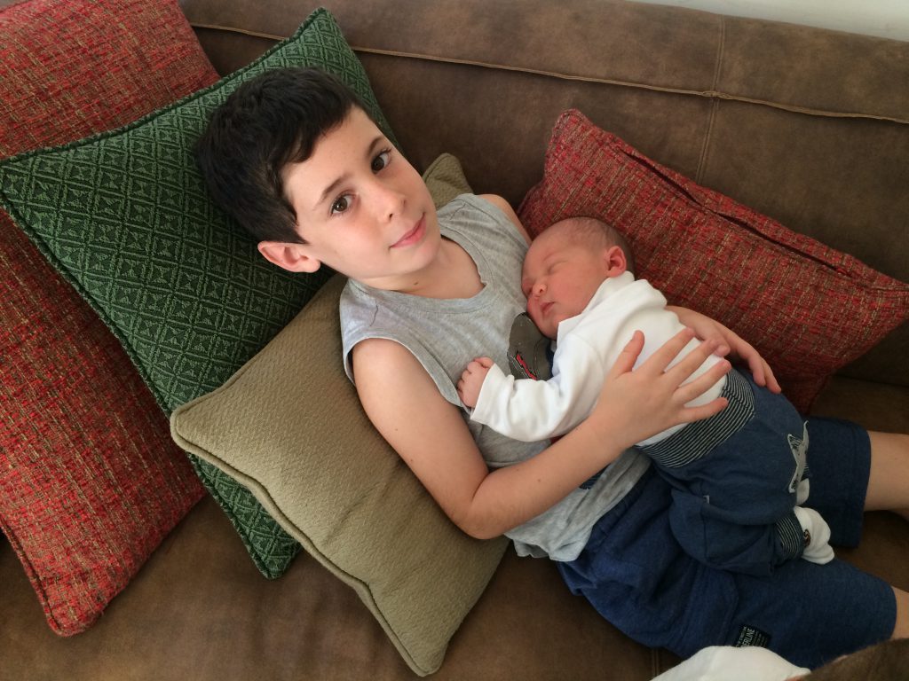 עבודת שורשים by ori biran - Ourboox.com