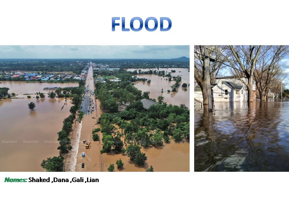 FLOOD by Dana - Ourboox.com