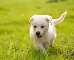 Mili Levi by Mili Levi - Ourboox.com