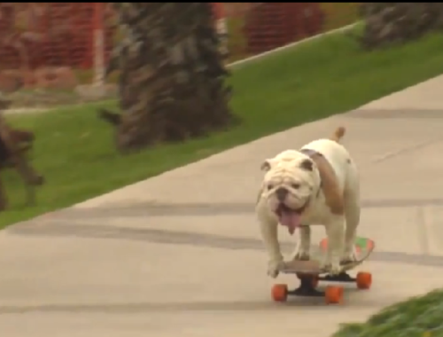 abcdefg by Guy hazan - Ourboox.com