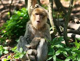 It’s me!! by liry nidam - Ourboox.com