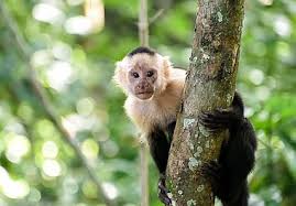 It’s me!! by liry nidam - Ourboox.com