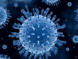 IL CORONAVIRUS by Christian Lo Surdo - Ourboox.com