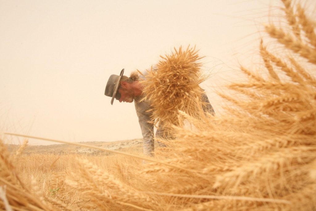 מעשה בשני אחים by neriya - Ourboox.com