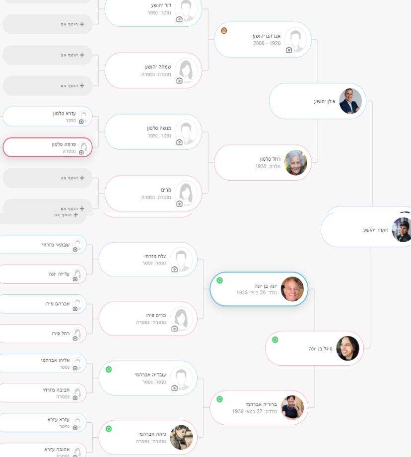 אילן יוחסין