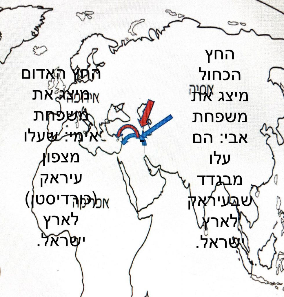 עבודת שורשים by Ofir yehoshua - Illustrated by אופיר יהושע - Ourboox.com