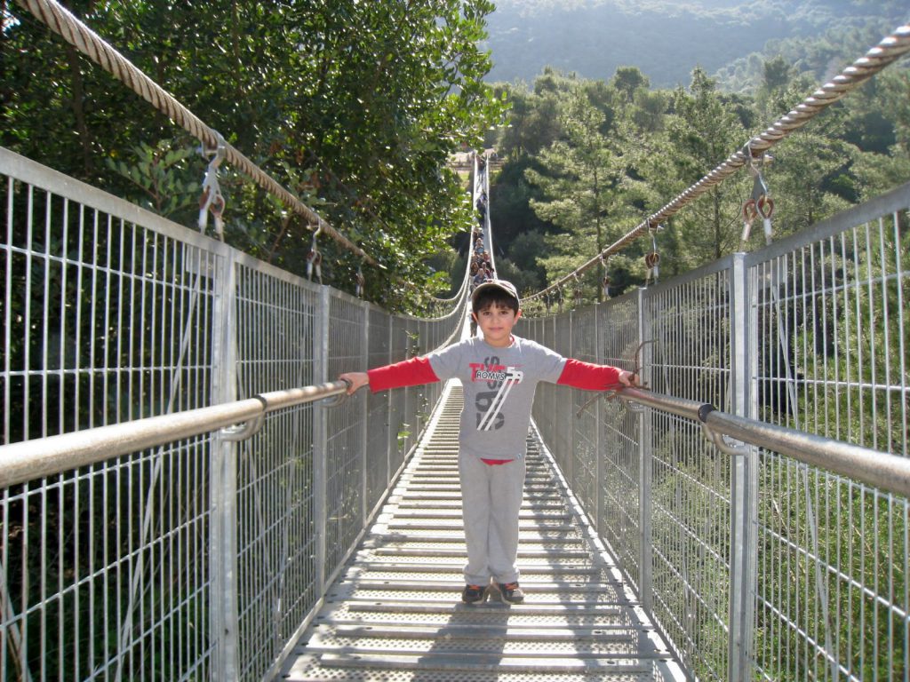 גשר חבלים בהולנד: