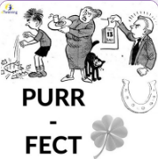 PURR-FECT by Mehmana Heydarova - Ourboox.com