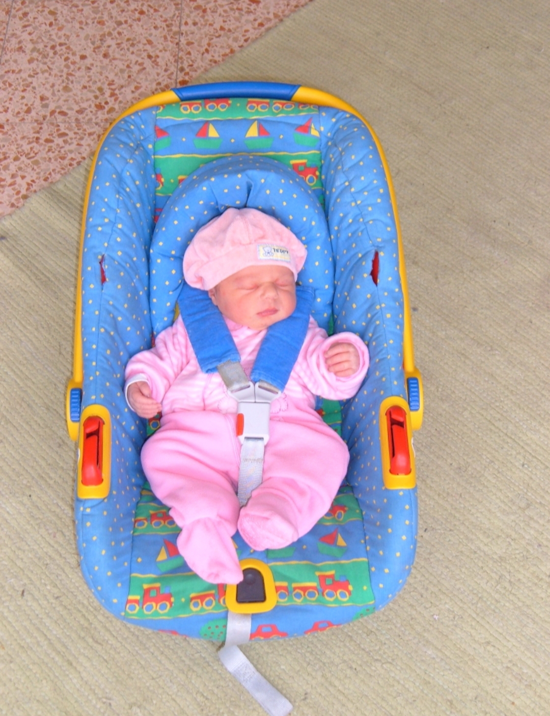 עבודת שורשים by Niva hilz - Illustrated by ניבה הילס - Ourboox.com