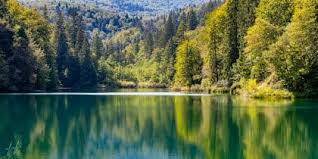 there is/ there are by yaara debbi - Ourboox.com