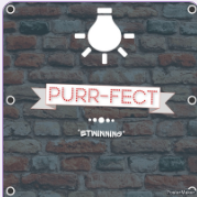 PURR-FECT by Mehmana Heydarova - Ourboox.com