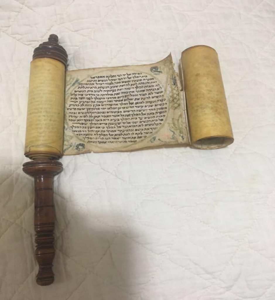 עבודת שורשים by neta canetti - Illustrated by נטע קנטי - Ourboox.com