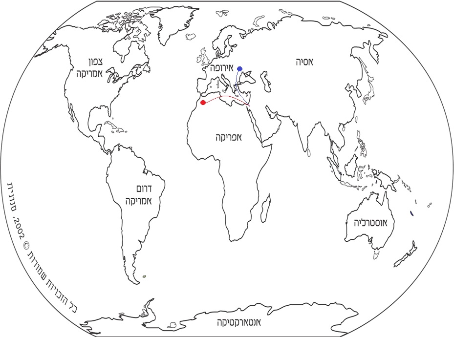 עבודת שורשים by adi kolker - Illustrated by עדי קולקר - Ourboox.com