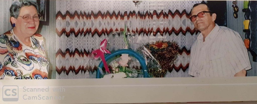 עבודת שורשים אלון כהן by Alon Cohen - Illustrated by אלון כהן - Ourboox.com