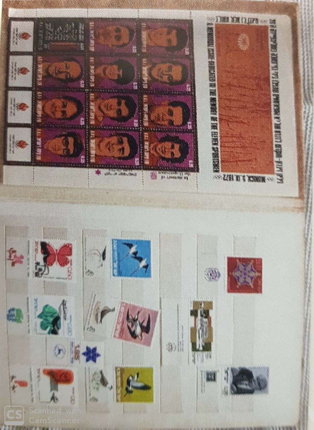 עבודת שורשים אלון כהן by Alon Cohen - Illustrated by אלון כהן - Ourboox.com