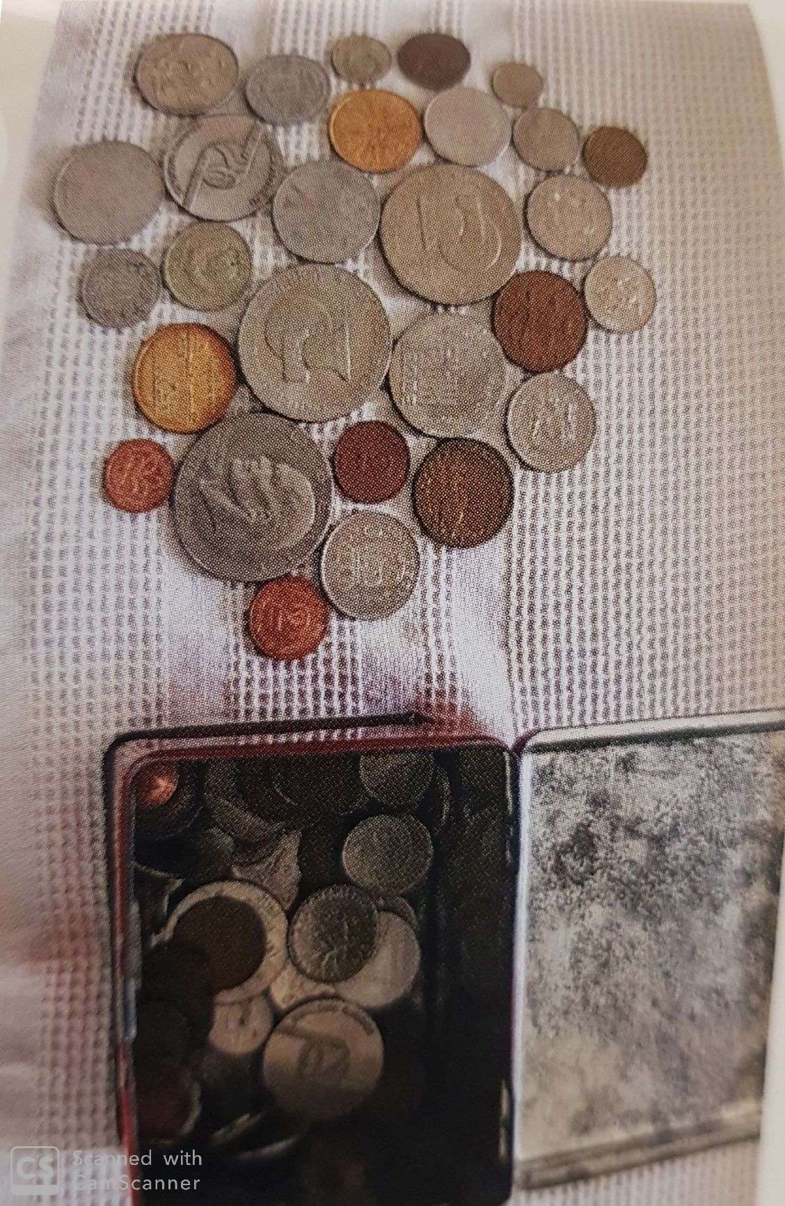 עבודת שורשים אלון כהן by Alon Cohen - Illustrated by אלון כהן - Ourboox.com