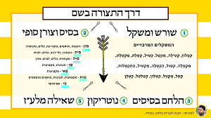 תצורת השם by limor porian meital hen - Ourboox.com