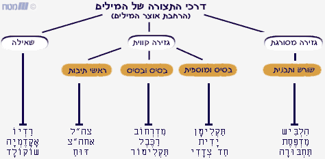 תצורת השם by meital - Ourboox.com