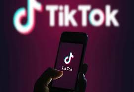 مخاطر تطبيق ال tik tok by mariam - Illustrated by mariam abusbeih - Ourboox.com